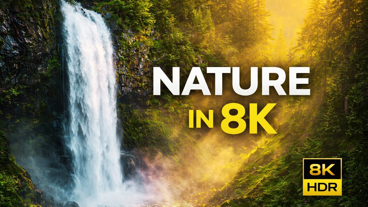 🌍 Nature in 8K HDR – Cinematic Beauty in Dolby Vision Ultra HD