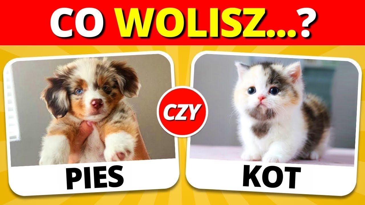 CO WOLISZ...? EDYCJA ZWIERZĘCA 🐶🐈‍⬛ | Psy vs Koty i inne! 🟢🔴