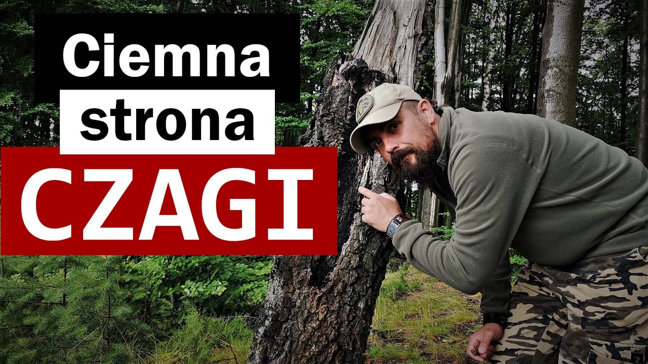 Inonotus obliquus - czyli Błyskoporek podkorowy (Czaga) - NIE dla wszystkich