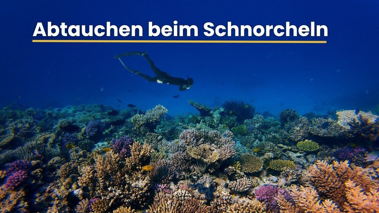 RICHTIG Abtauchen beim Schnorcheln: Schritt f&uuml;r Schritt tiefer und besser Abtauchen