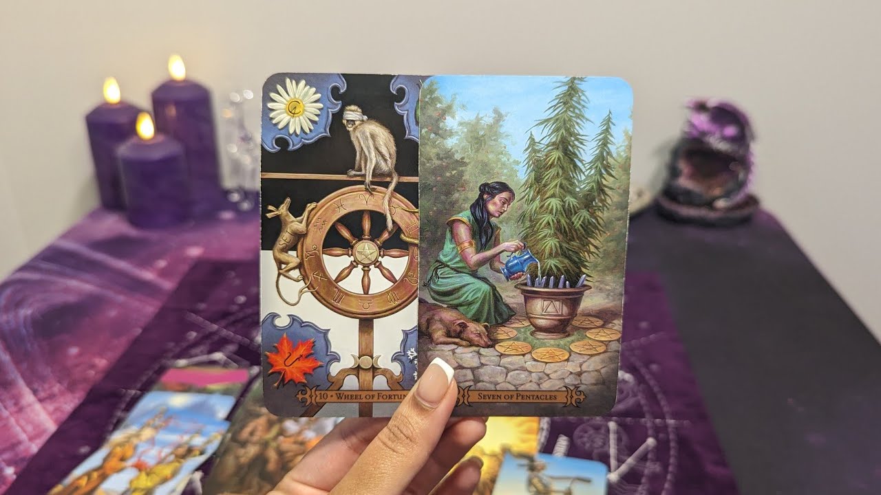 ♍ VIRGO - What you wanted then, they want now...