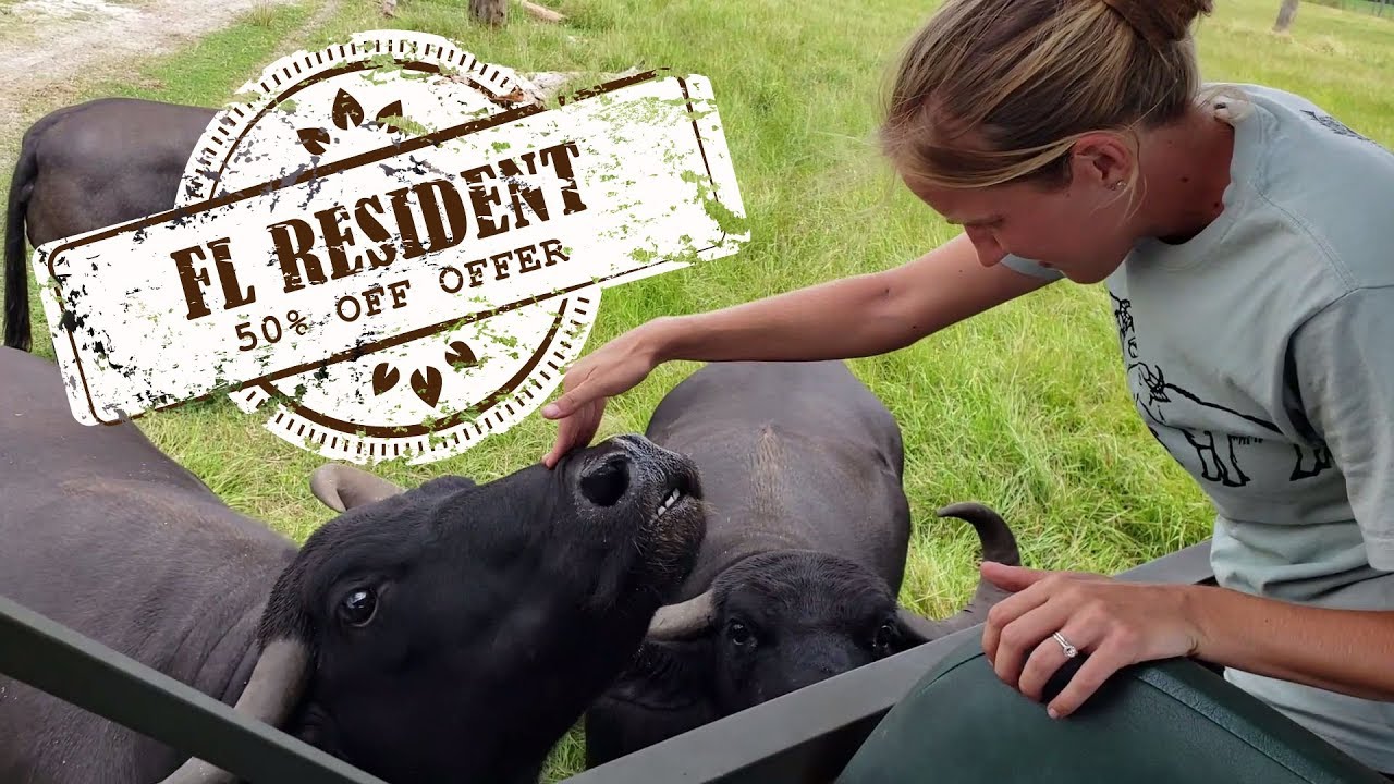 September Savings at Safari Wilderness