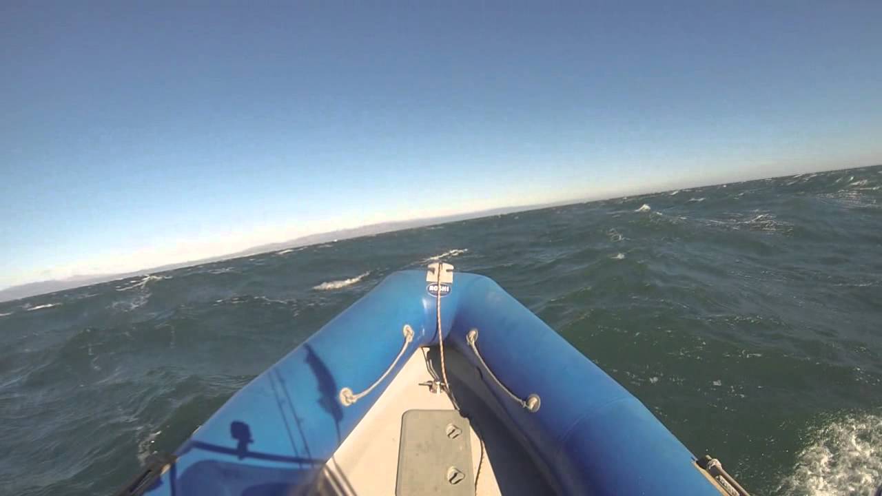 mala mar y viento en el delta del Ebro. Narwhal wb 550 - suzuki df 70