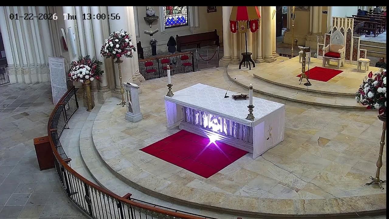 Transmisión Eucaristía Basílica de Lourdes   2026