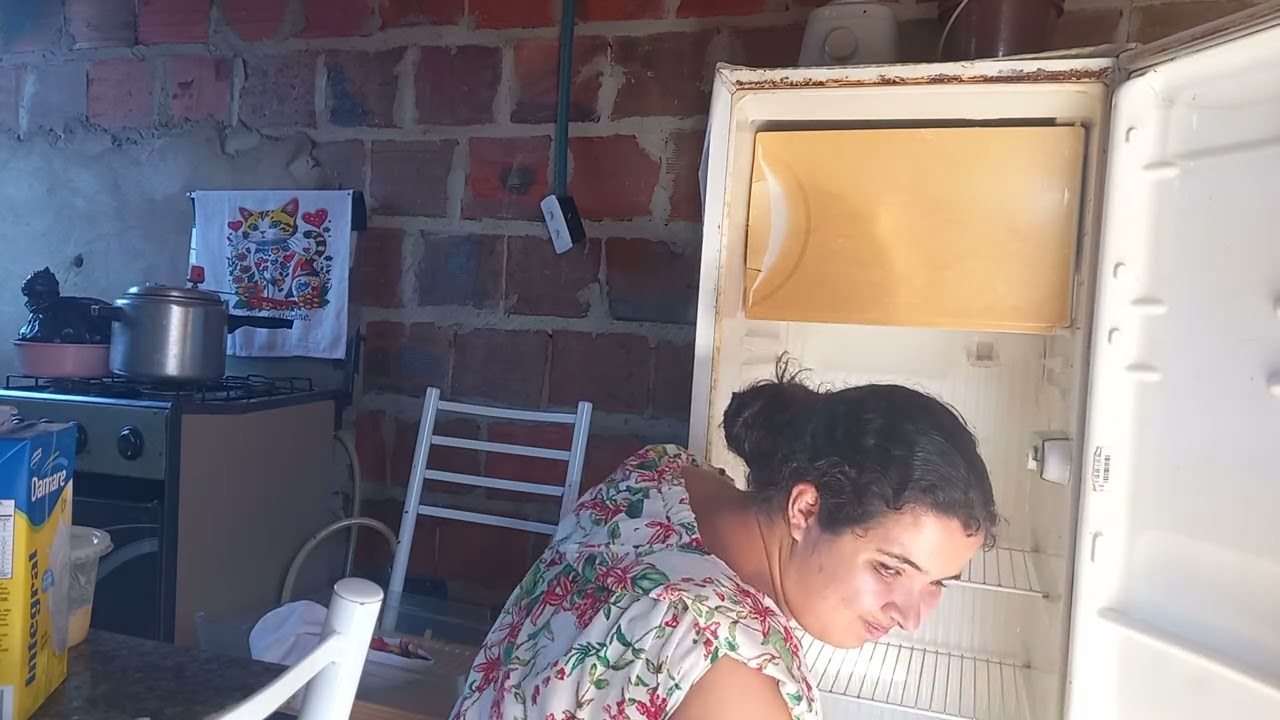 Limpando a geladeira 