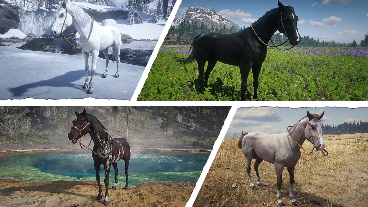 MELHORES CAVALOS | TODOS OS PUROS SANGUES &Aacute;RABES | RED DEAD REDEMPTION 2