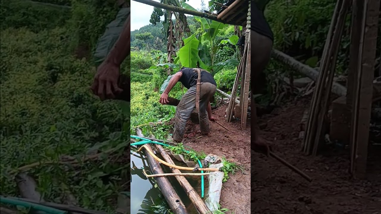 Botram di kebun#Botram #pedesaan #petani #irt #ainie 