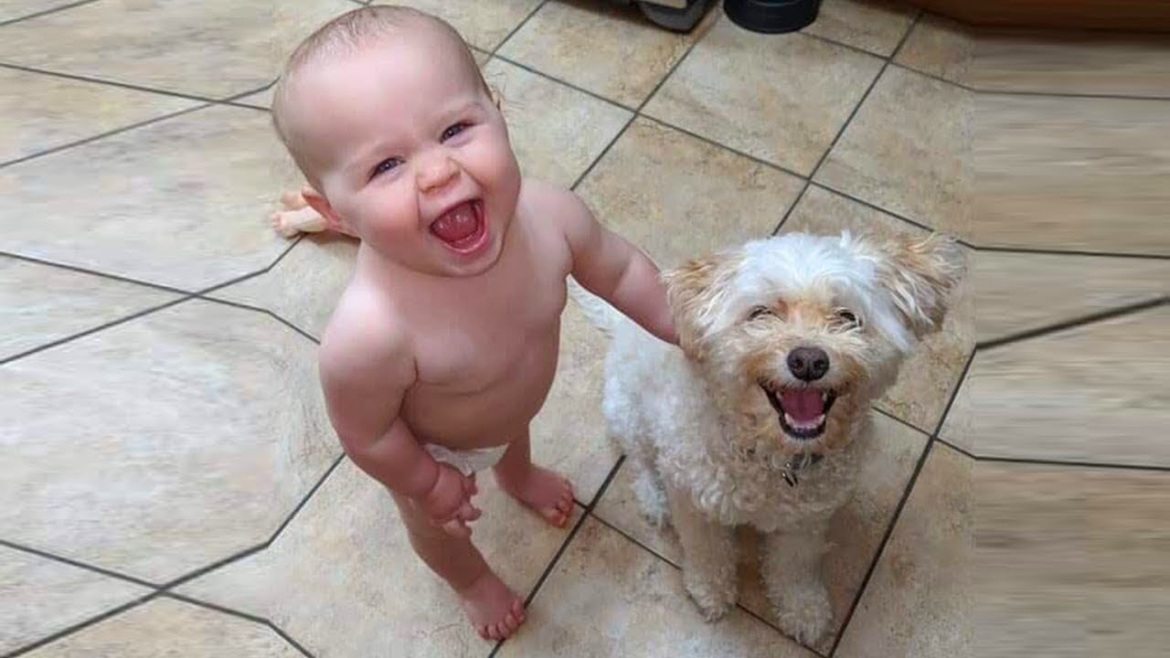 Perros felices & Beb&eacute;s Jugando con la manguera de agua - m&aacute;s feliz del v&iacute;deo nunca!