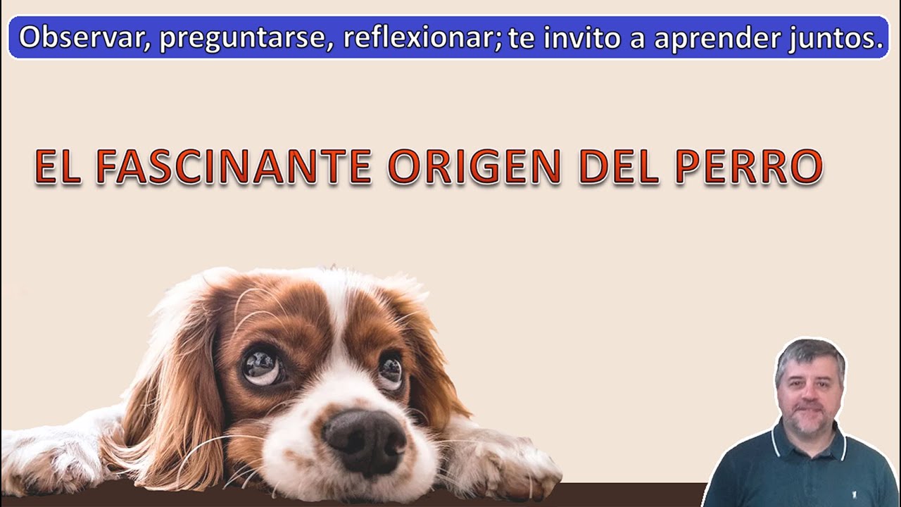 EL FASCINANTE ORIGEN DEL PERRO