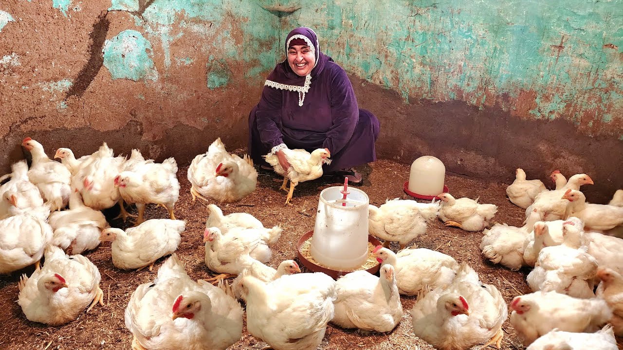 شاركت بنتي بمشروعي💵وخليت بيتي المهجور🏚️يجيب حقه ويبني قصور 💃