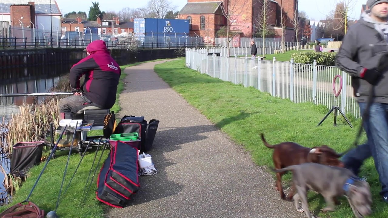 Coventry Canal