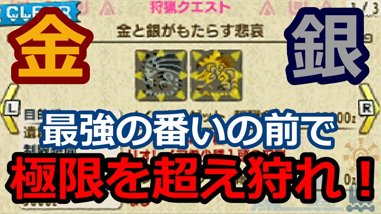 【MHXX実況】【ソロ】集会所G★4 金と銀がもたらす悲哀 エリアル双剣【モンハンダブルクロス】