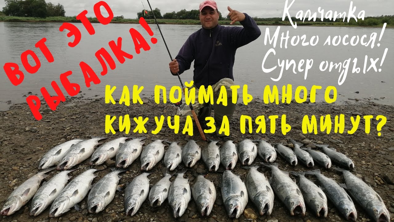 Супер рыбалка на Камчатке. Море кижуча. Кижуч. Сoho salmon. Fishing. Kamchatka.