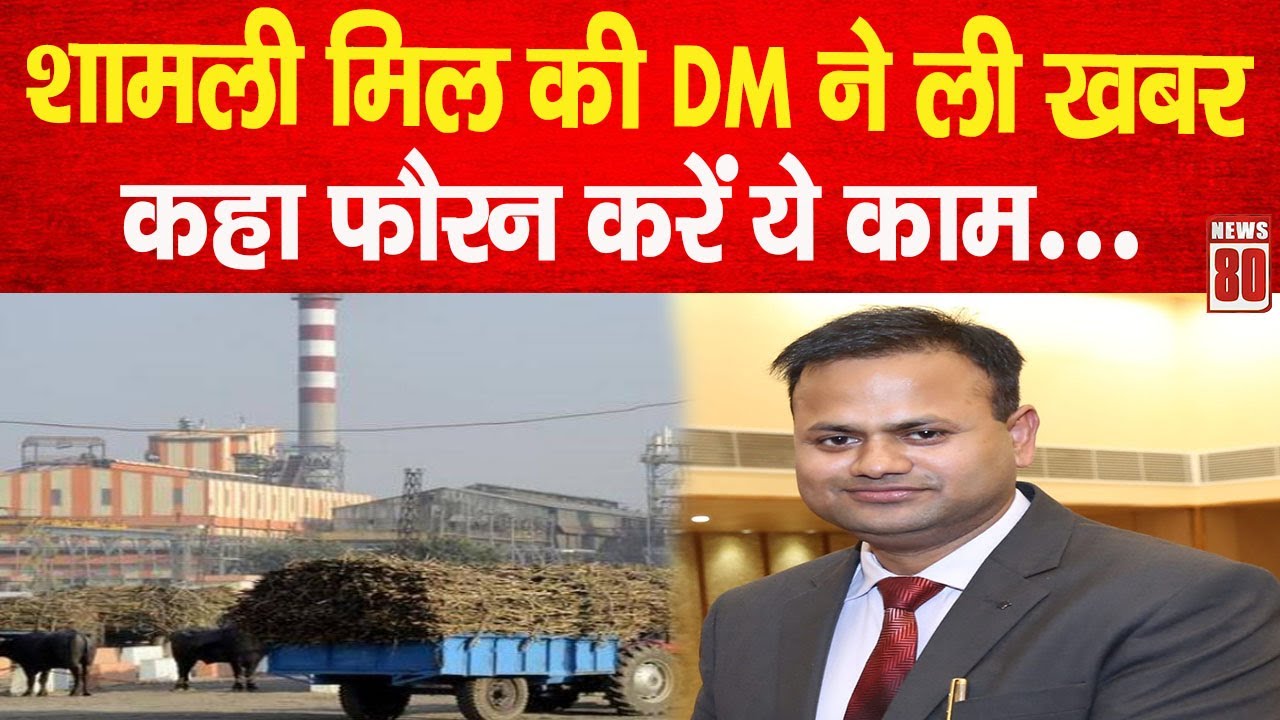 Shamli मिल की DM ने ली खबर, कहा फौरन करें ये काम...! News 80
