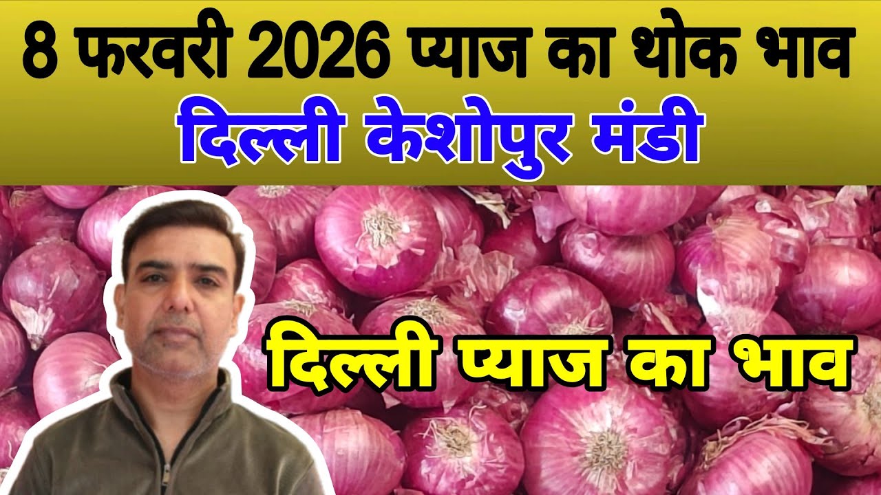 दिल्ली केशोपुर मंडी | 🧅Today onion rates | Today Onion price | Piyaj | 8 Feb 2026 #pyaj #mandiprices