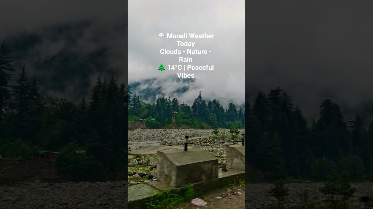 Today Manali Weather 🌧️ | Nature View, Clouds & Rain Vibes | Himachal #Shorts #ytshorts