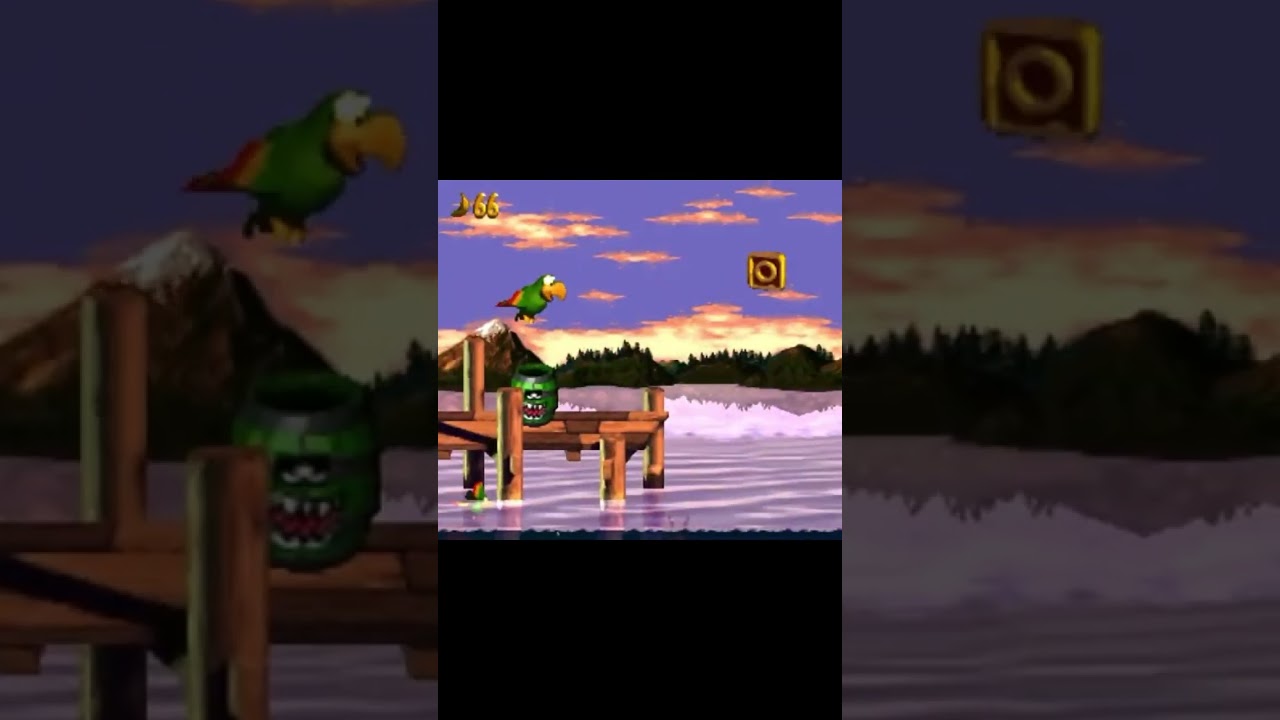 Animal Friends #donkeykong #dkc3 #dkc2 #donkeykongcountry #donkeykong3 #snes #retro #retrogaming