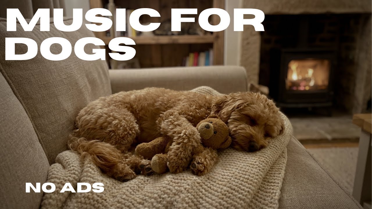 8 Hours of Dog Calming Music 🐶💤 Deep Sleep for Anxious Dogs