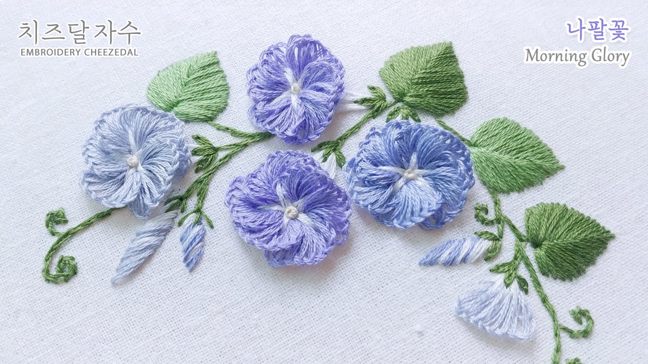 [CC] 나팔꽃, Morning glory