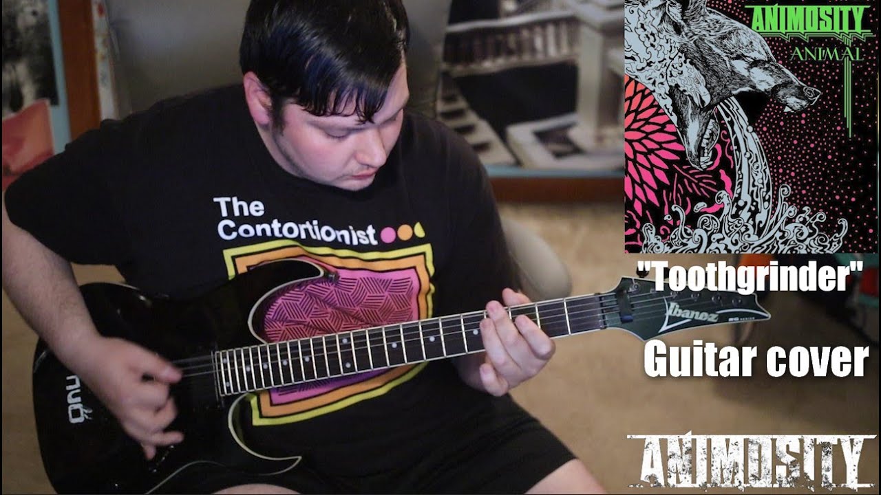 Animosity - Toothgrinder [Guitar Cover]