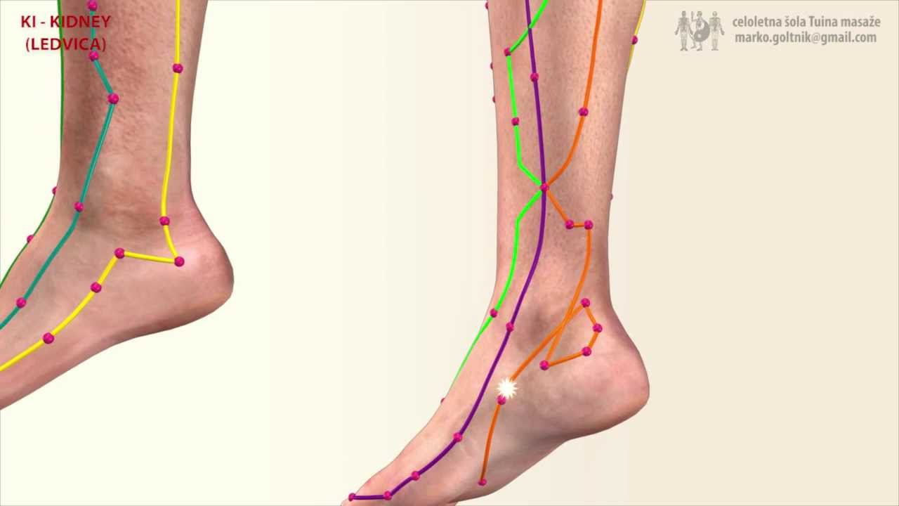 KI - KIDNEY MERIDIAN (Meridijan Ledvic)