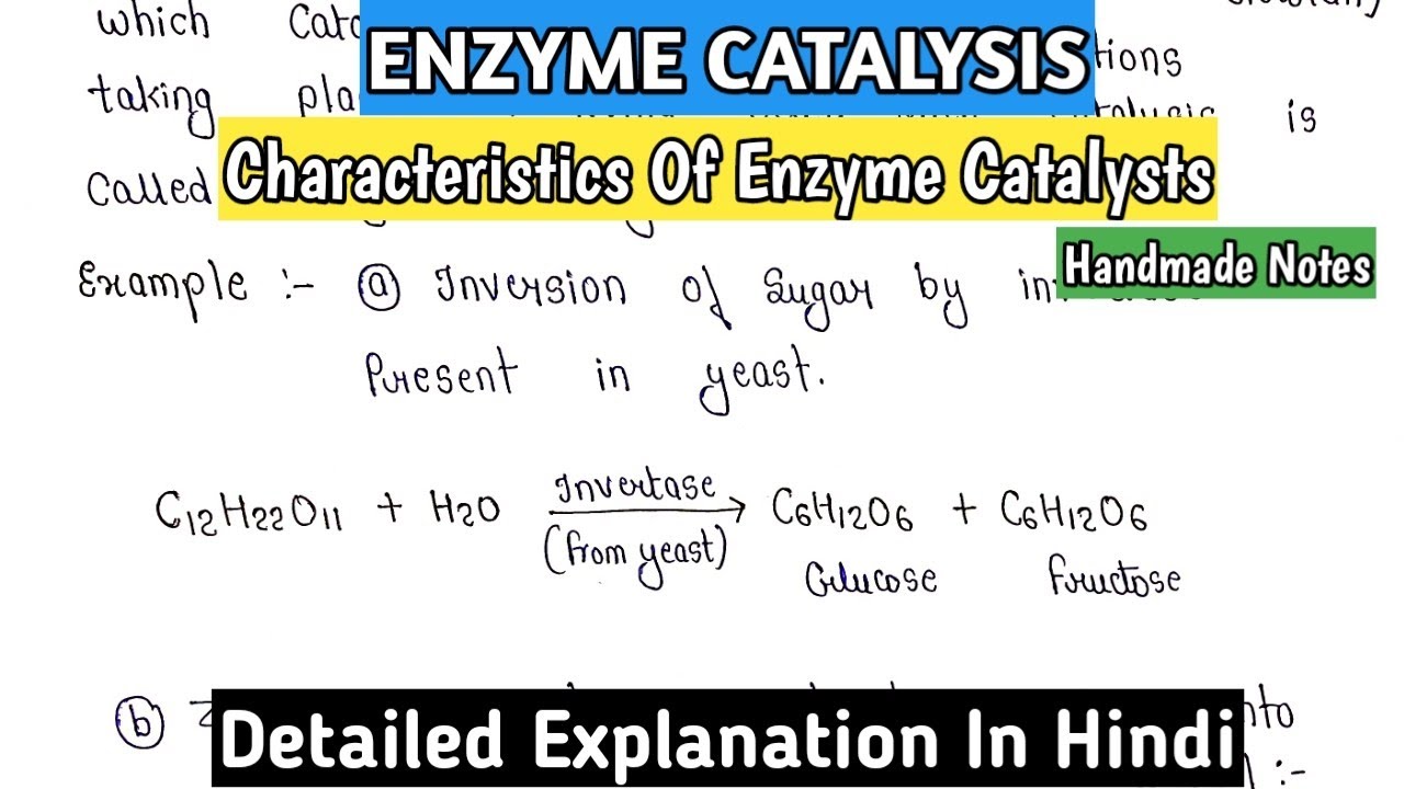 Enzyme Catalysis | Characteristics of Catalysts |Detailed Explanation In Hindi #mscnotes  #bscnotes