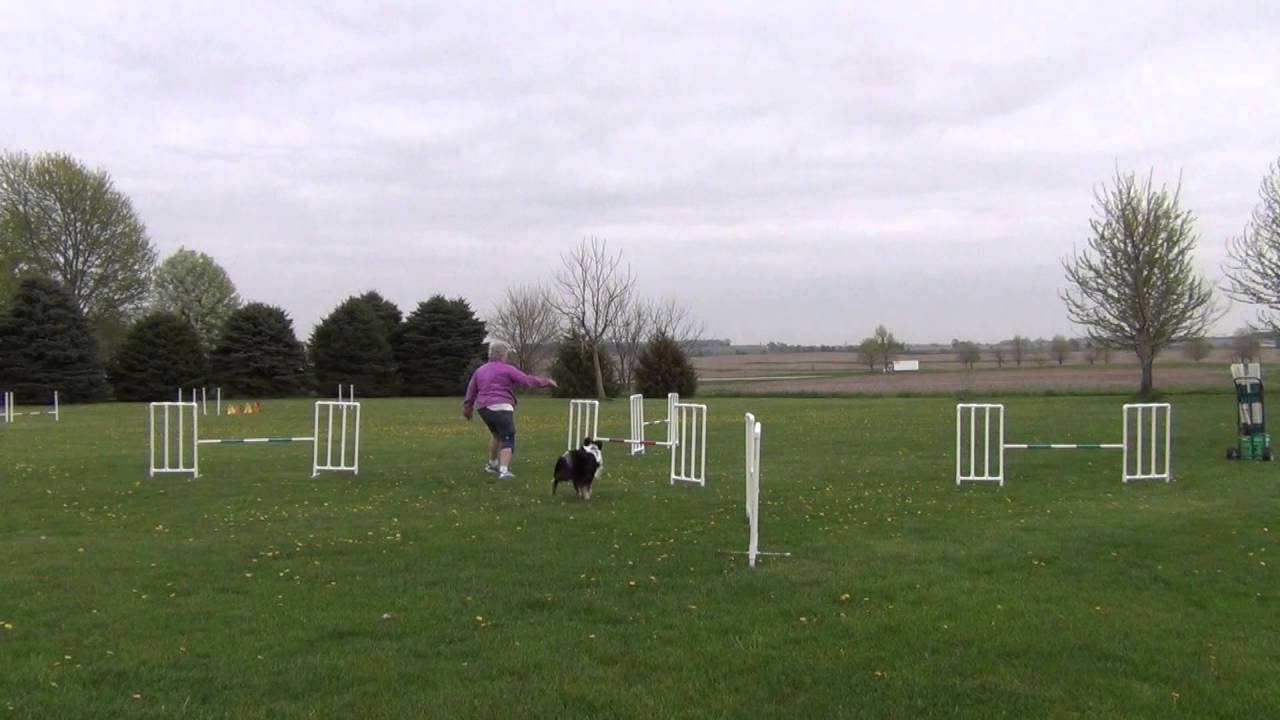 Threadle Practice - minimal handler movement