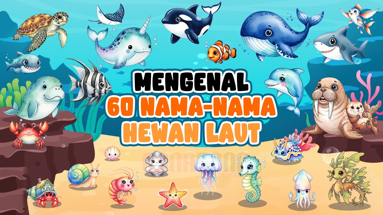 Mengenal 60 Nama-Nama Hewan Laut Bahasa Indonesia dan Bahasa Inggris | Edukasi Anak
