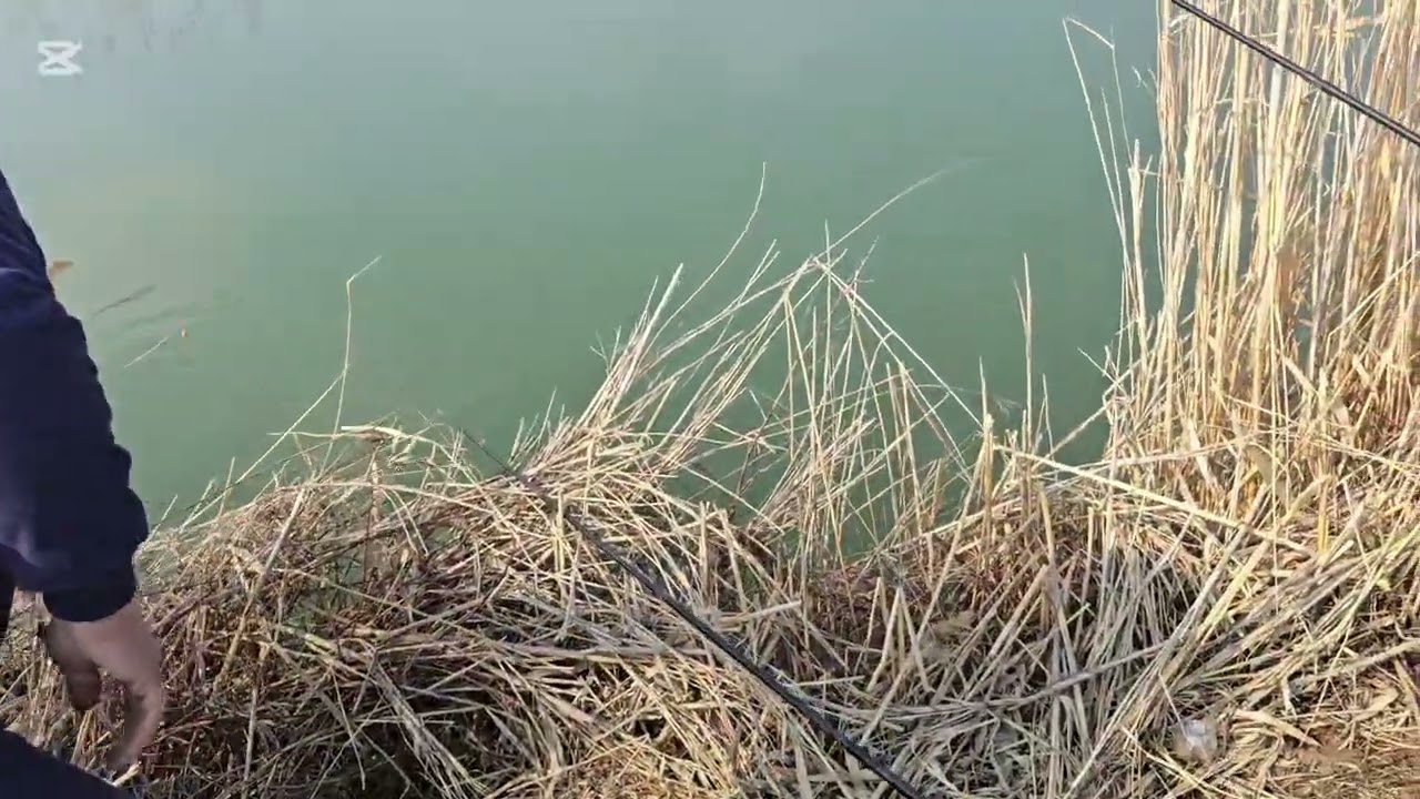 Бесхозный пруд 13.03.2026ж