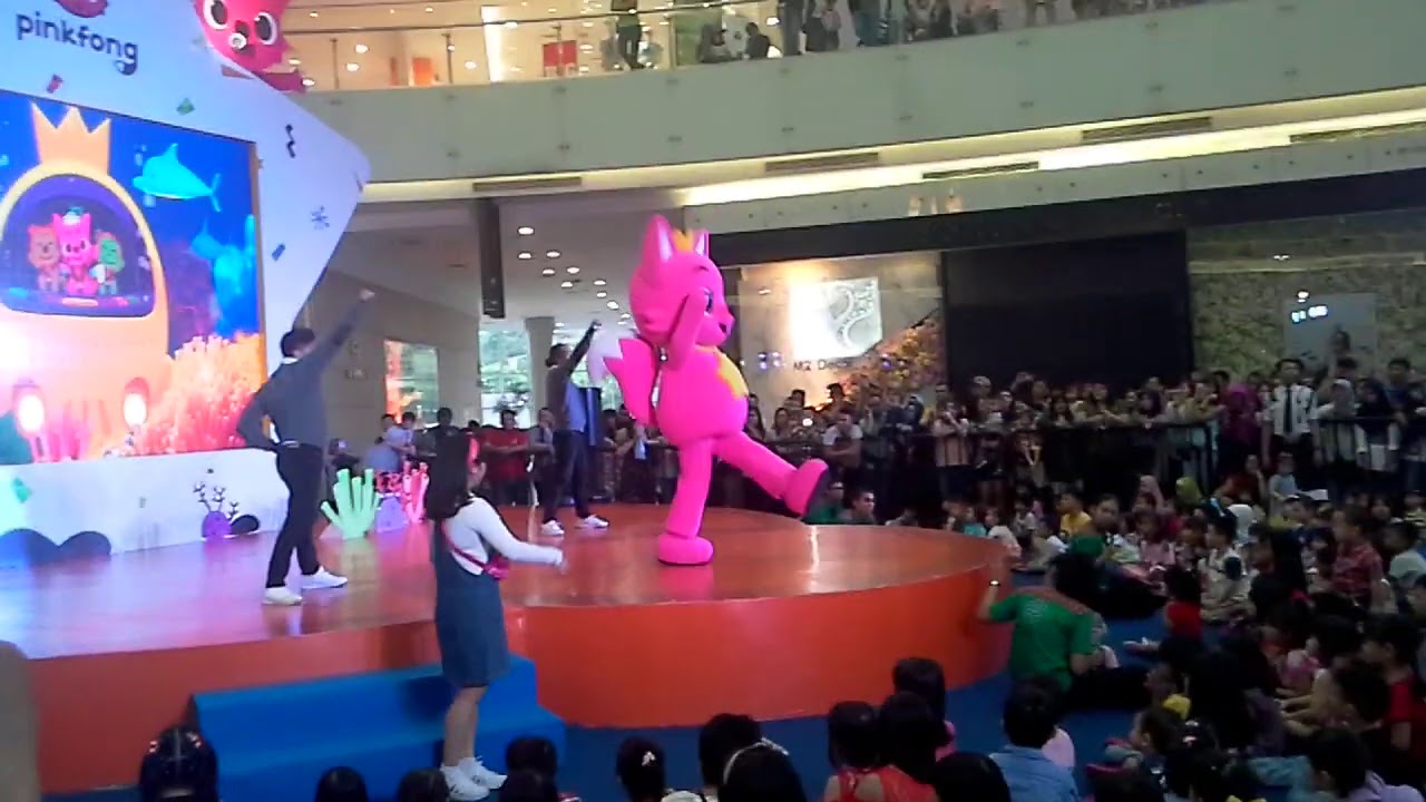 Pink Fong Meet and Greet