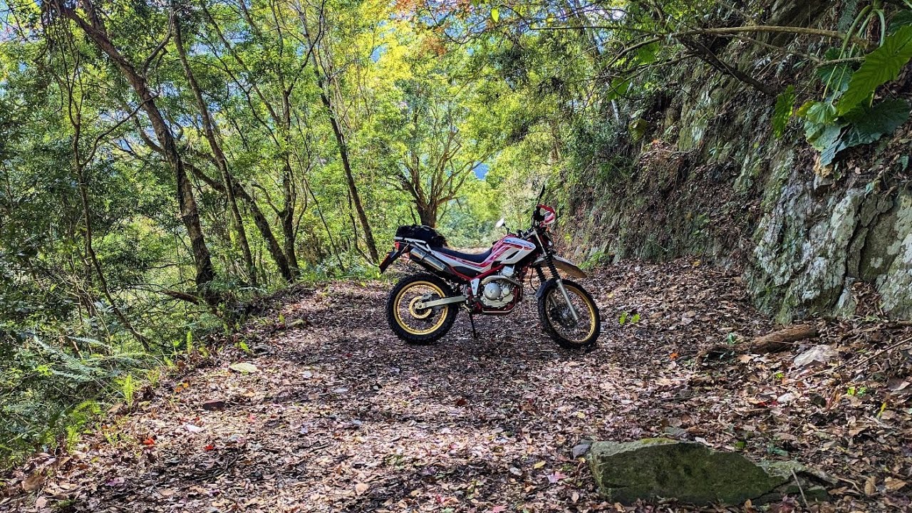 #Serow250 #羅山林道南線 #羅山林道北線 完整行車紀錄