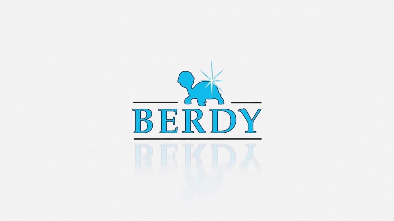 Berdy 3 stappenplan reiniging