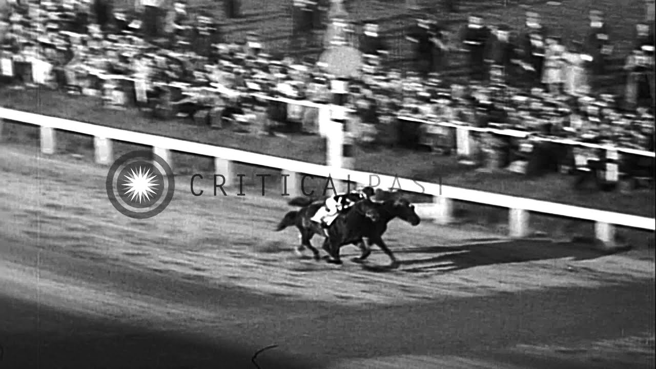 War Admiral wins the Preakness stakes at Pimlico race course in Baltimore, Maryla...HD Stock Footage
