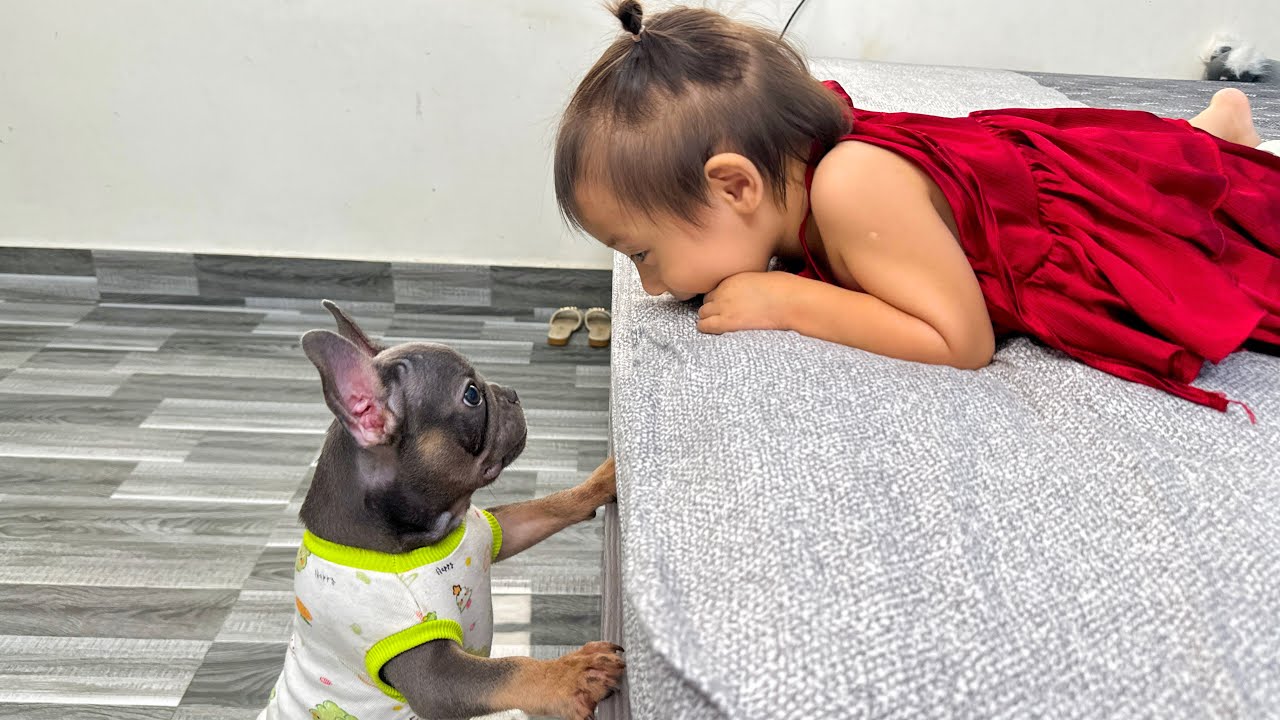 Mun Dog is sad because he sees baby Diem is sick