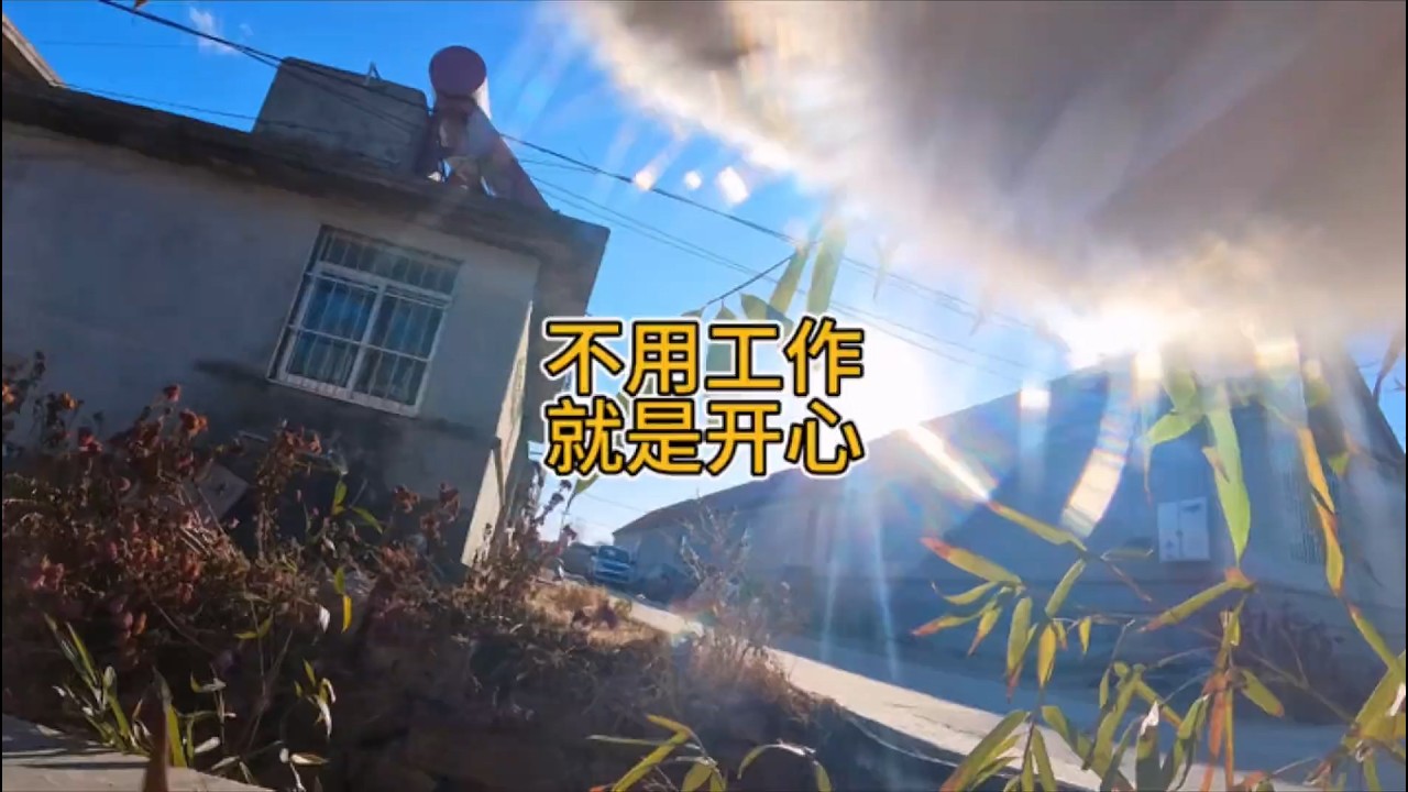 不用工作就是开心【小黄不太黄】