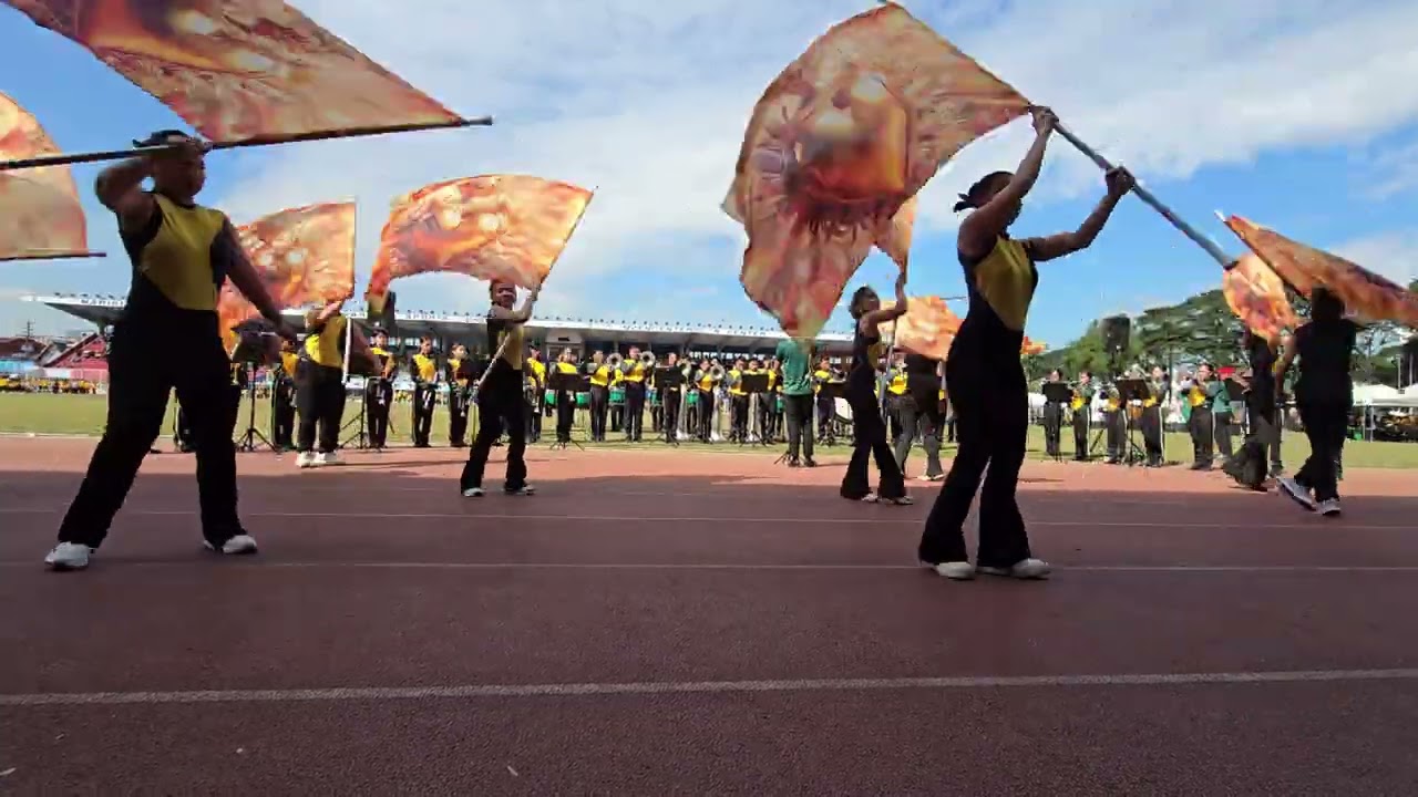 FEU DBC: How To Train Your Dragon Theme