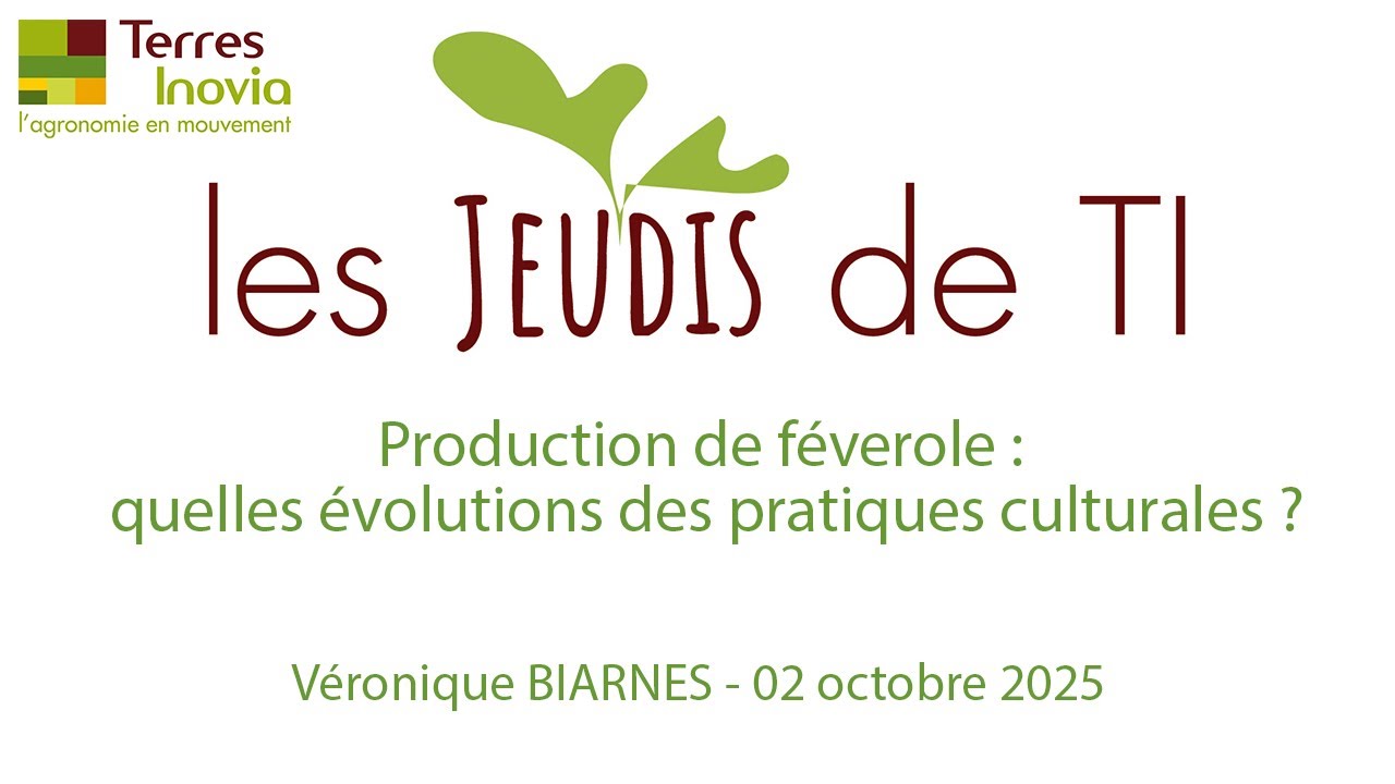 Production de féverole : quelles évolutions des pratiques culturales ?