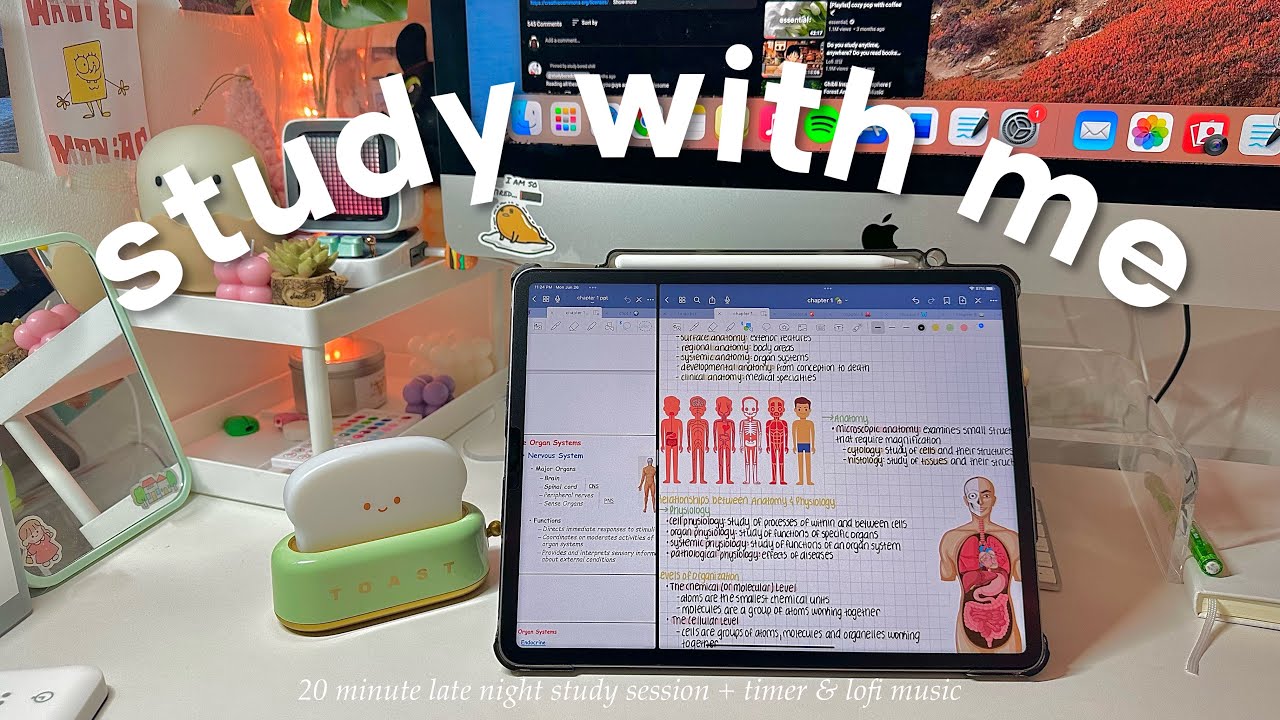 🧃20 min study with me | productive study day, timer, ipad notes, study with we session, bio student
