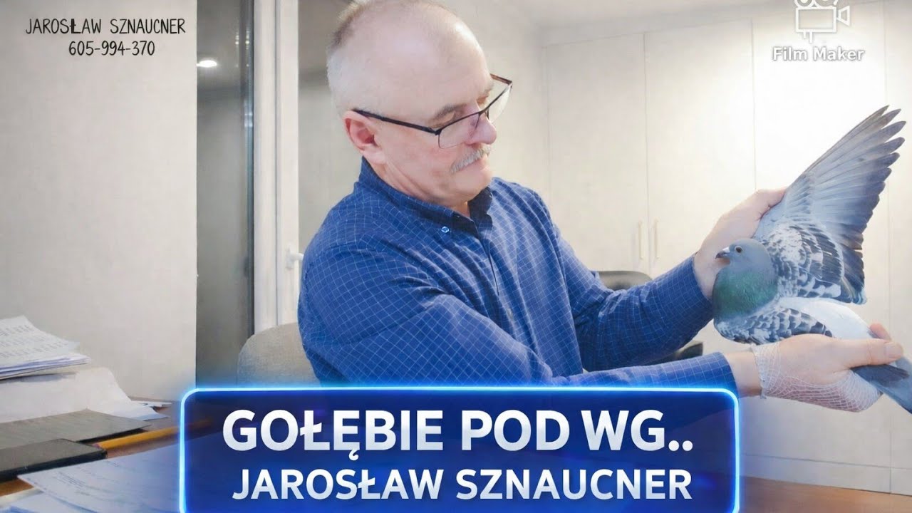 KILKA PÓŹNYCH GOŁĘBI POD WSPÓLNE GOŁĘBNIKI.. JAROSŁAW SZNAUCNER.