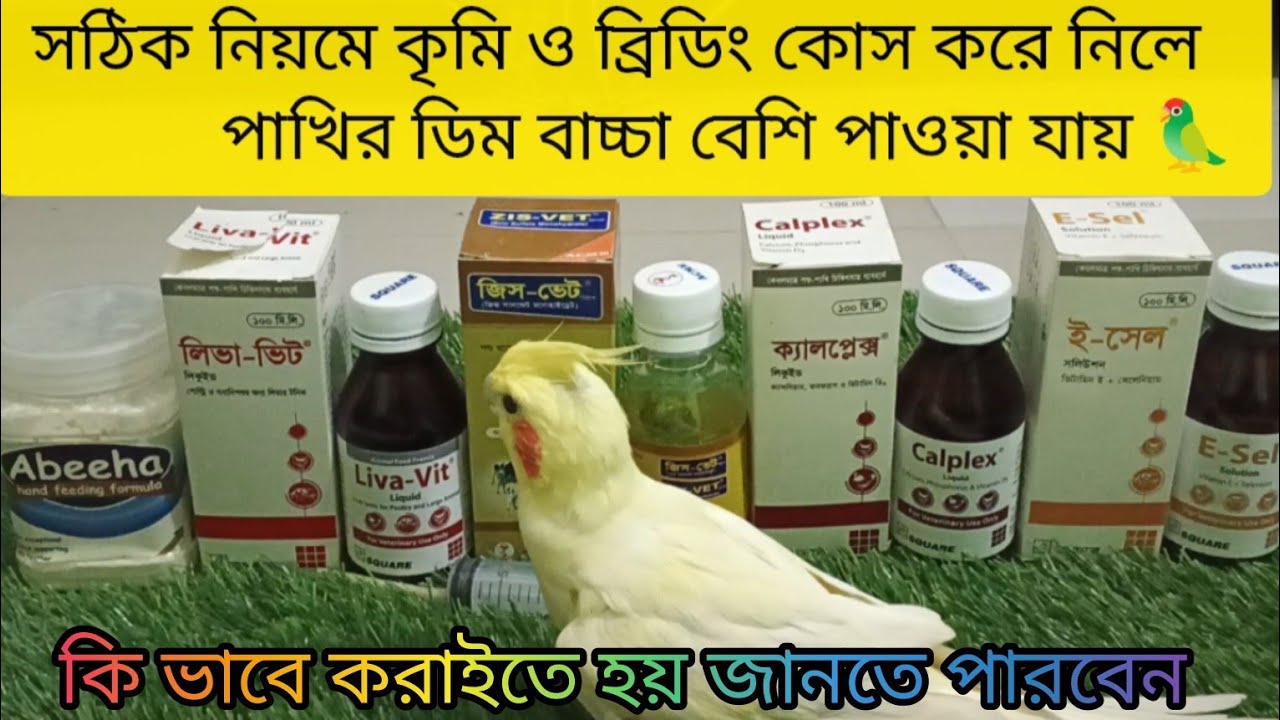সঠিক নিয়মে  আপনার পাখিরে কৃমি ও বিডিং  কোর্স করে নিলে পাখির থেকে  ভালো একটা রেজাল্ট আশা করা যায়।।