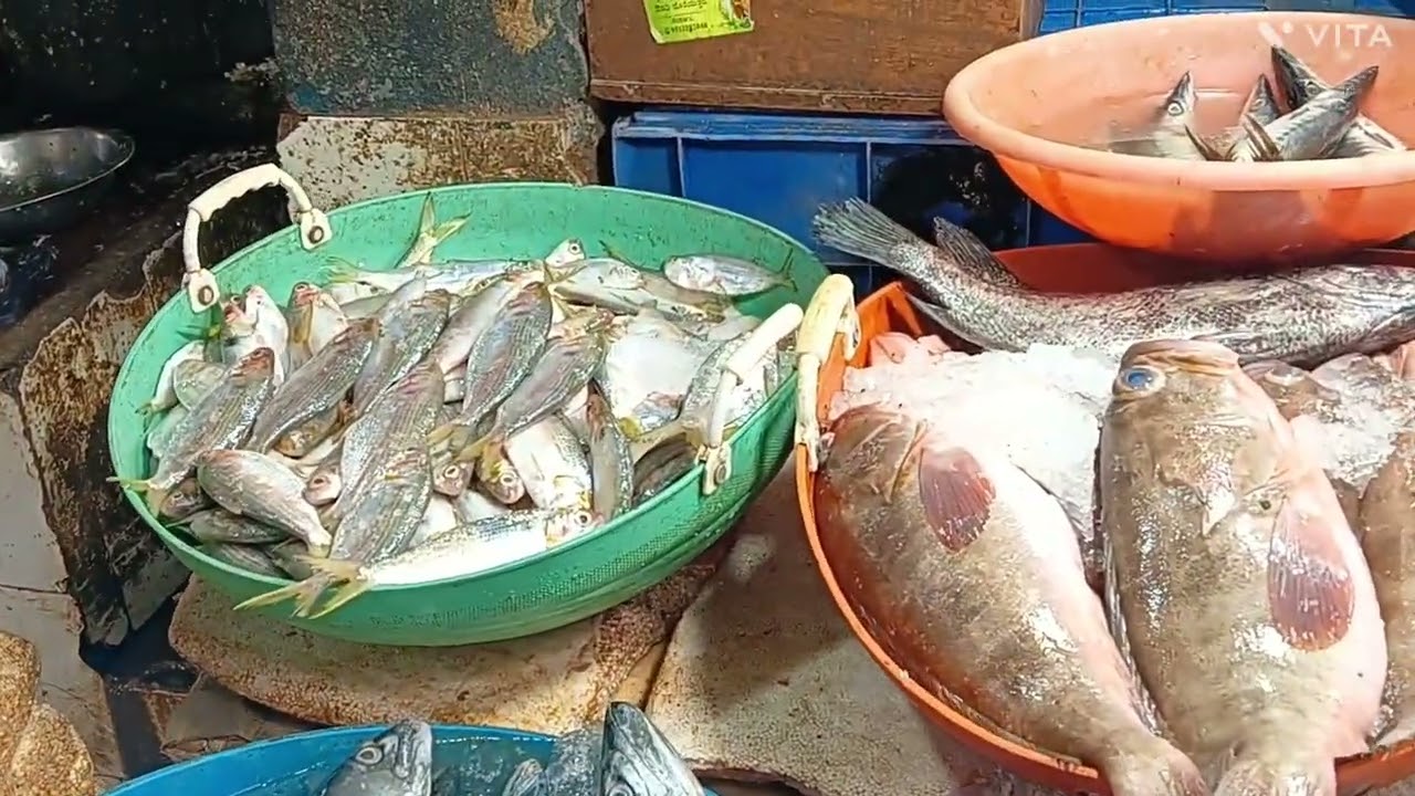 Sagara Fish market video 😋