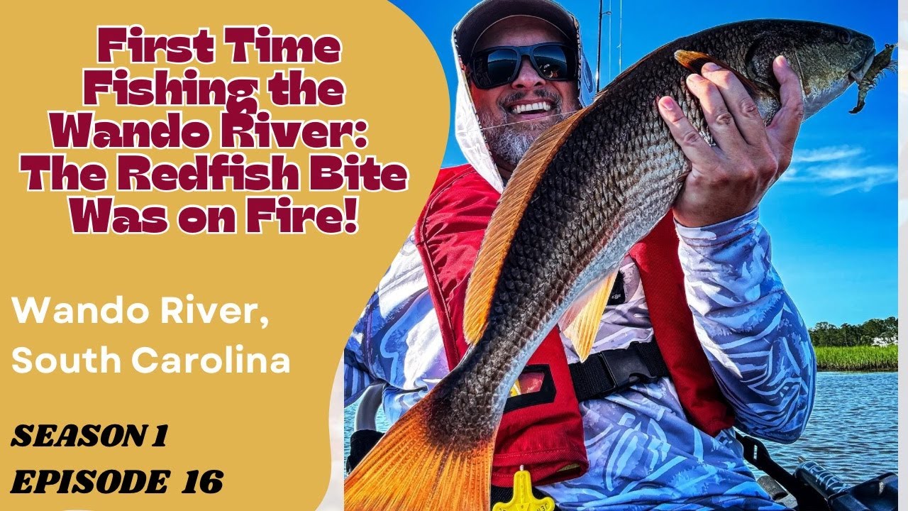 Epic First Trip to Wando River: Redfish Frenzy & Dolphin Chase