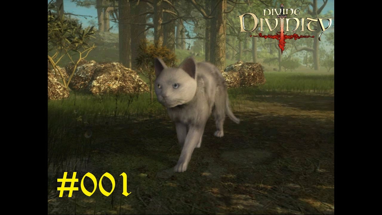 Let's Play Divine Divinity #001 - Das Abenteuer beginnt [Deutsch]