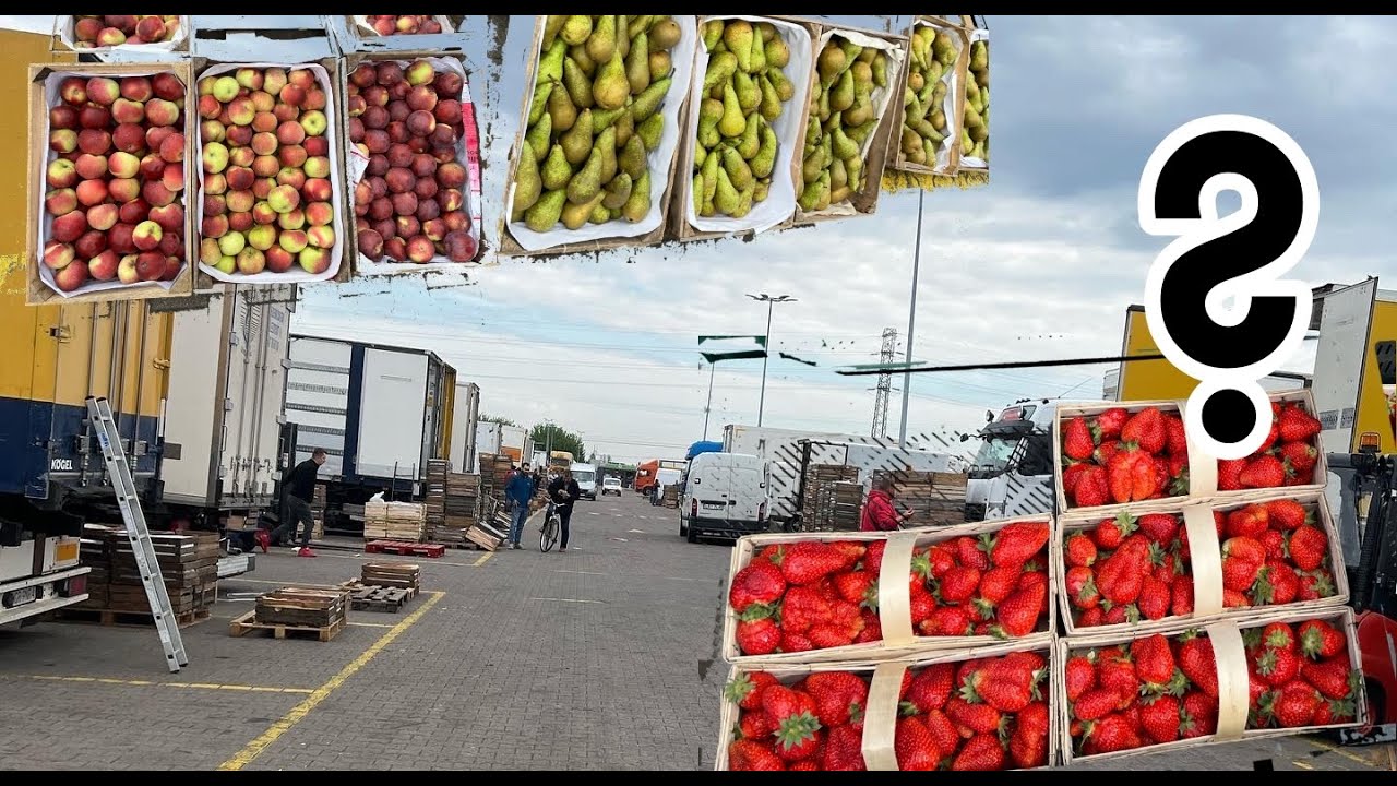 Rynek Hurtowy Bronisze 08.05.2022 - ceny jabłek, gruszek. Czy jest Polska truskawka? Jaka jej cena?