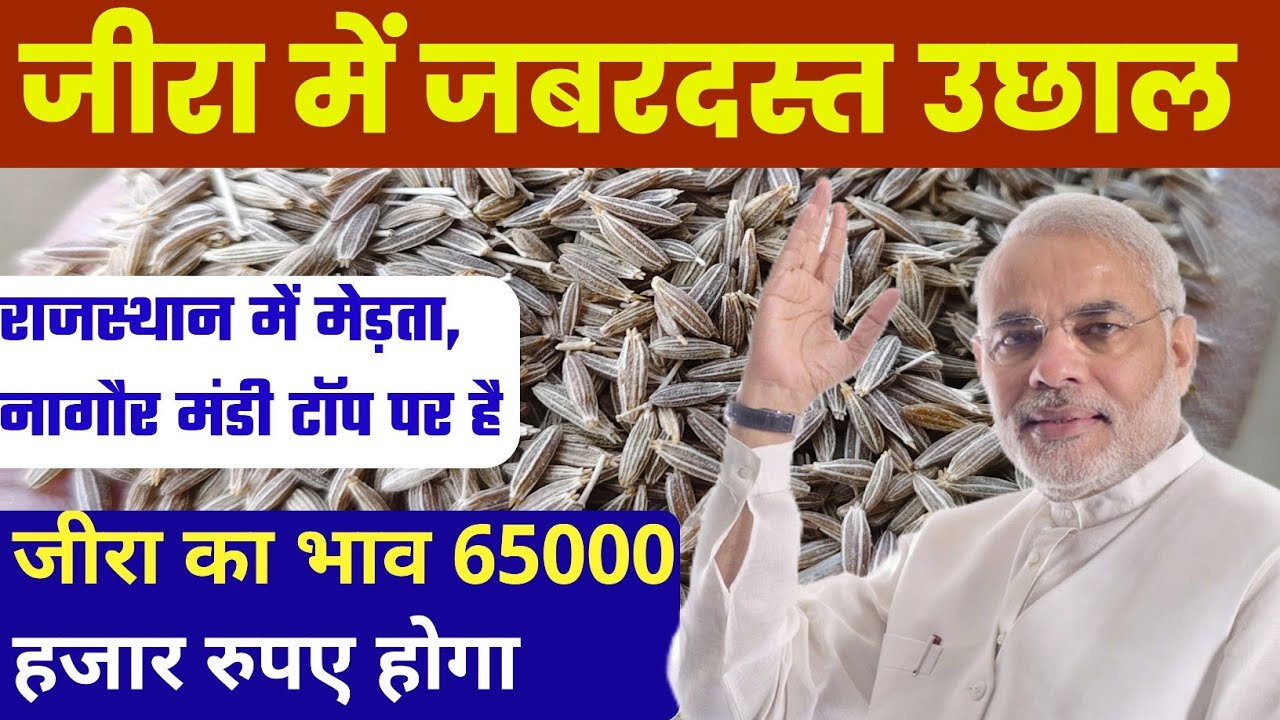 क्या जीरा 65,000 रुपए जाएगा? जीरा का भविष्य 2026 | Jeera Price Target 2026 | medta Mandi bhav today 