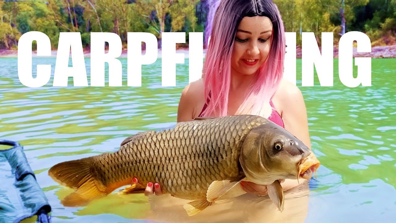 PESCA🎣 de CARPAS HIBRIDAS Y ROYALES en el Lago las TORTUGAS 🐢CARPFISHING