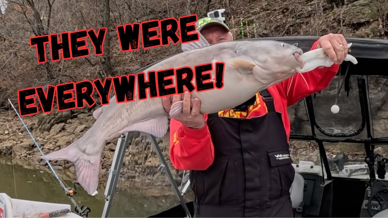 A Catfish At EVERY Stop!
