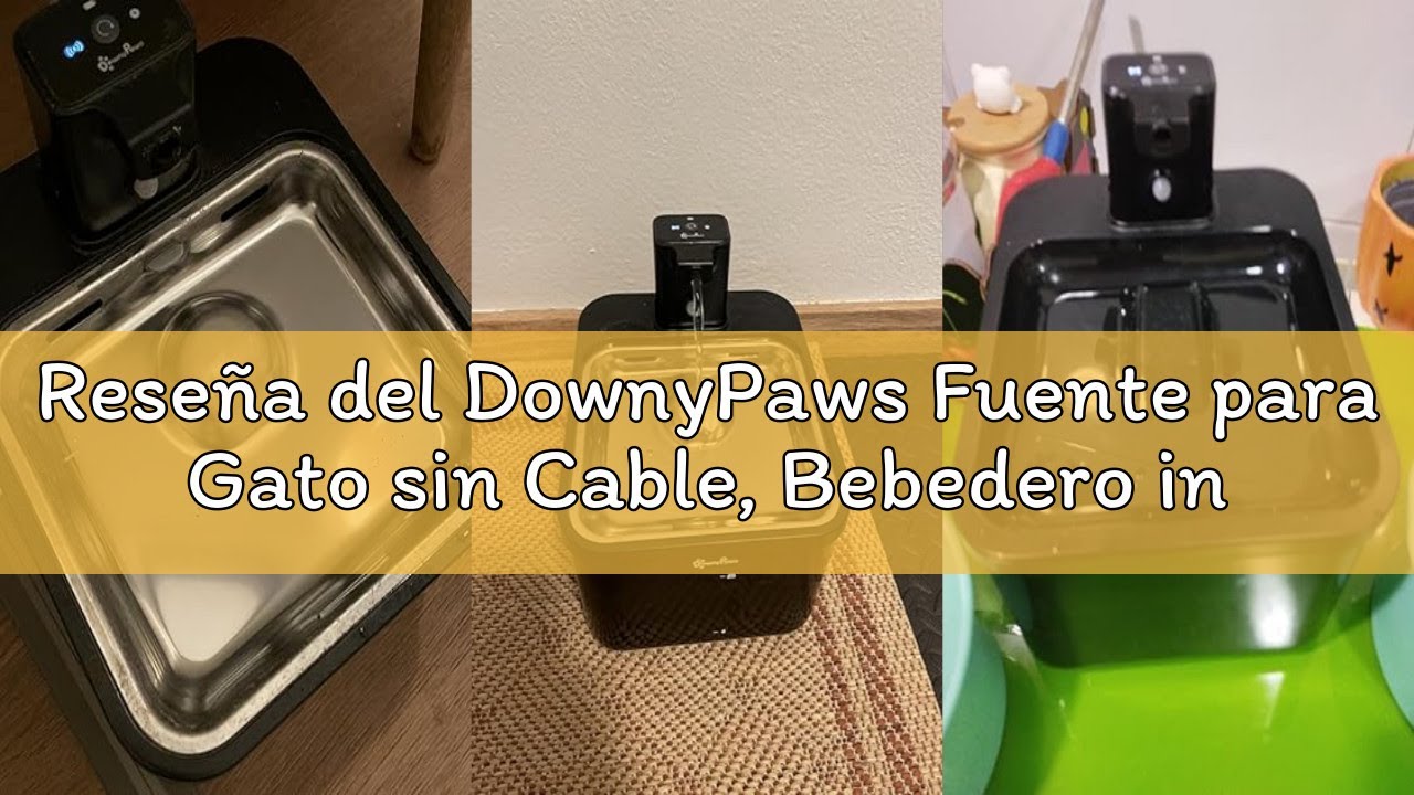 Reseña del DownyPaws Fuente para Gato sin Cable, Bebedero inalámbrico para Gatos con Sensor de Movim