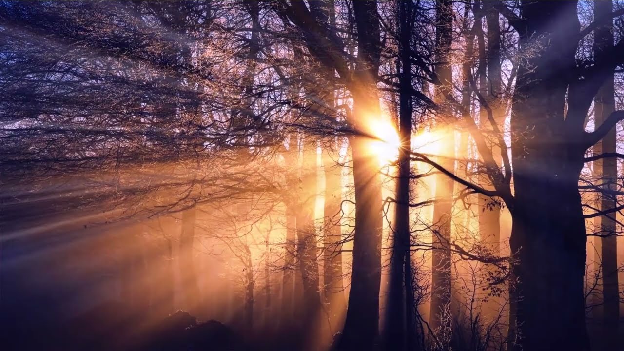 Sunset - Mais um vídeo da coleção VÍDEOS TEMÁTICOS.  Pores do sol muito bonitos. Assine o canal.