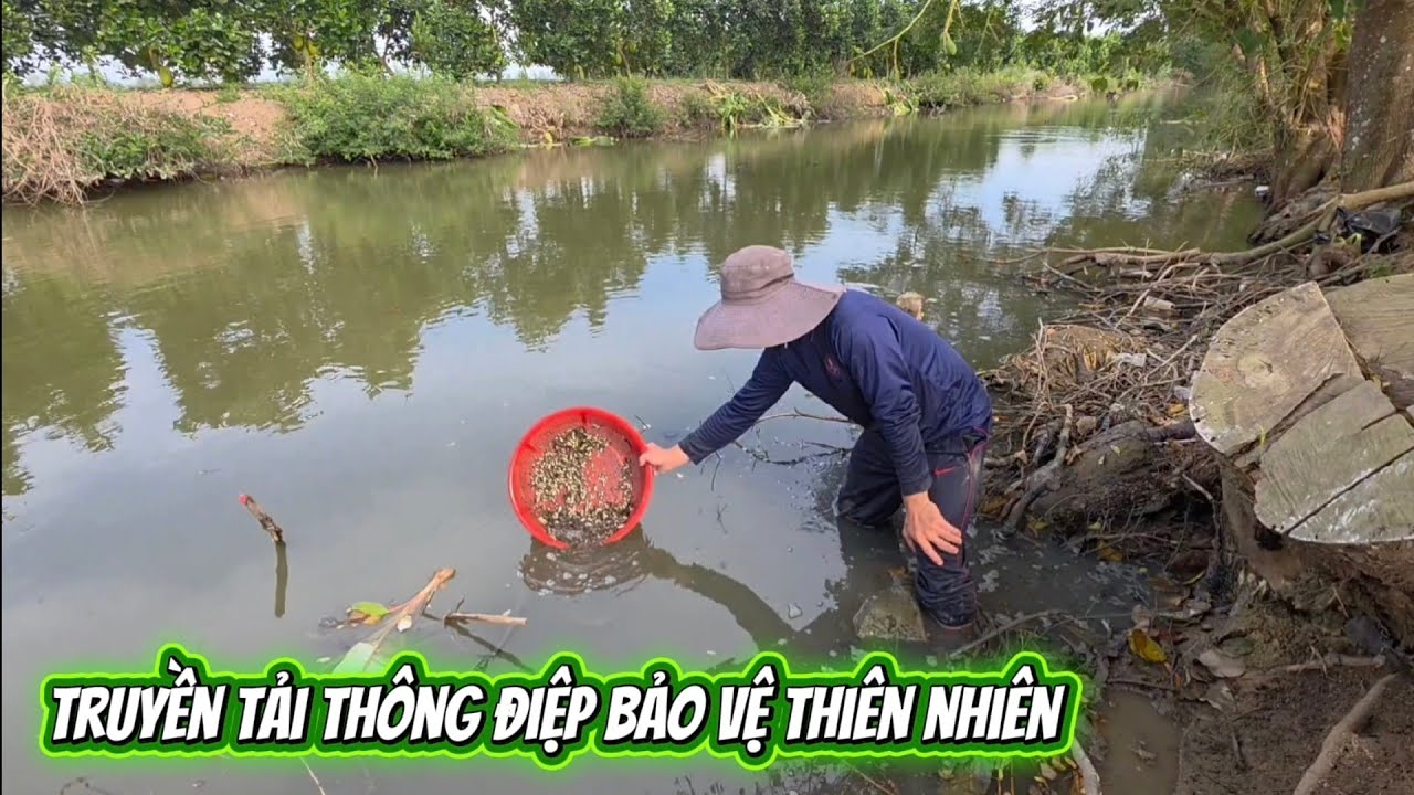 Giải cứu cá mắc cạn (Tập 208) truyền tải thông điệp bảo vệ thiên nhiên và môi trường sống 🌱